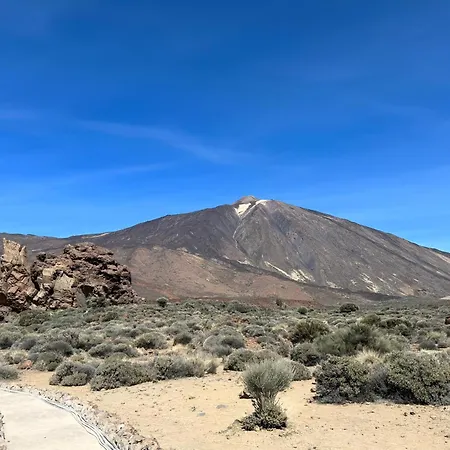 Apartment House Harvey J53 Mareverde *